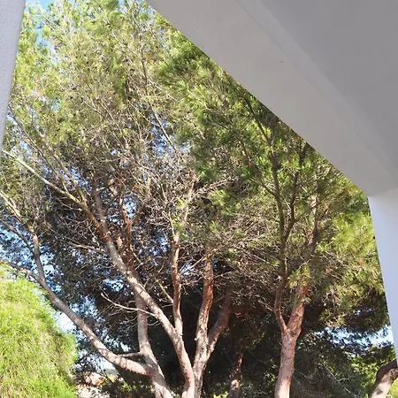 Casa A Pigna Tatil Evi *