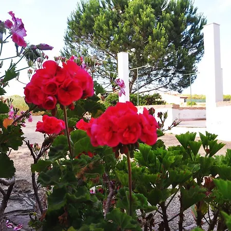 Tatil Evi Casa A Pigna *